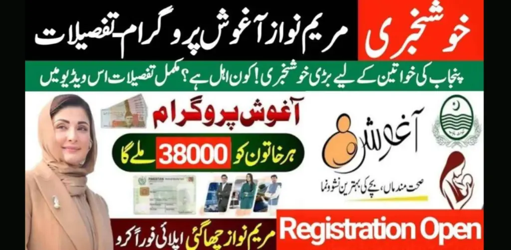 How to check Punjab Aghosh Program status online using CNIC