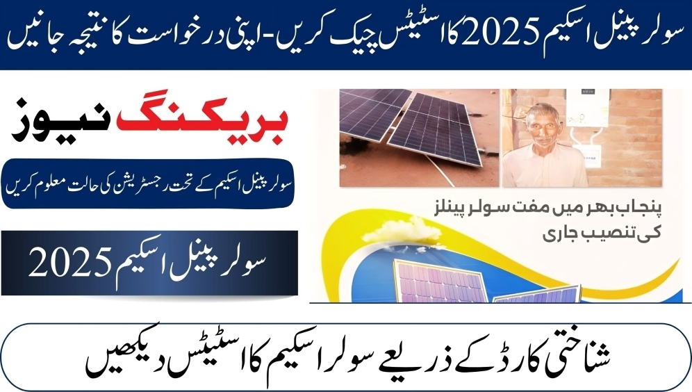 cm punjab solar panel status check 2025