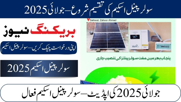 CM Punjab Solar Panel Scheme distribution 2025