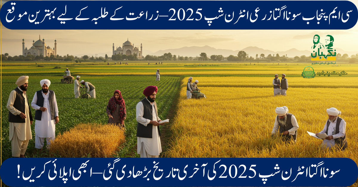 CM Punjab Sona Ugta Zarai Internship 2025